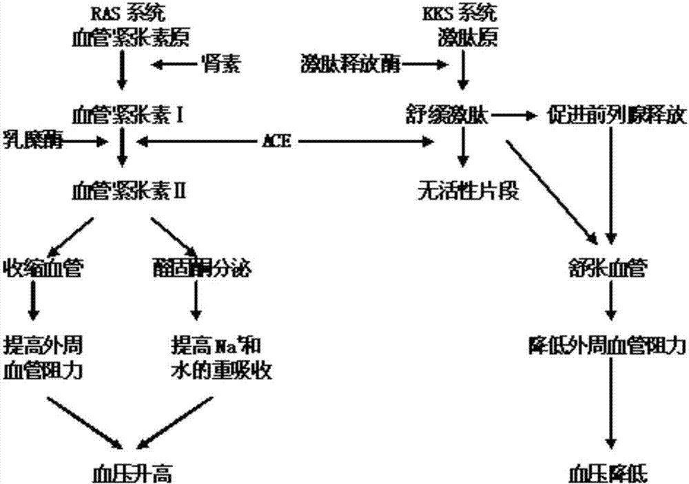 威斯尼斯wns888入口